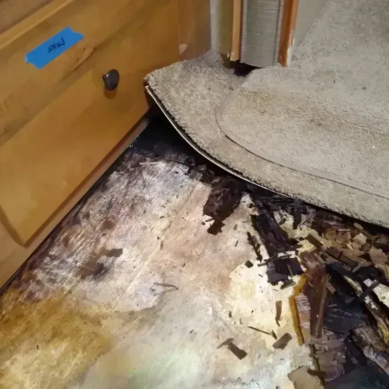 Wood Floor Water Damage in Kiel, WI